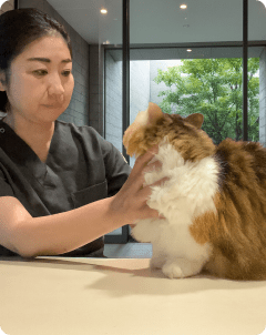 獣医 西田しのぶの写真